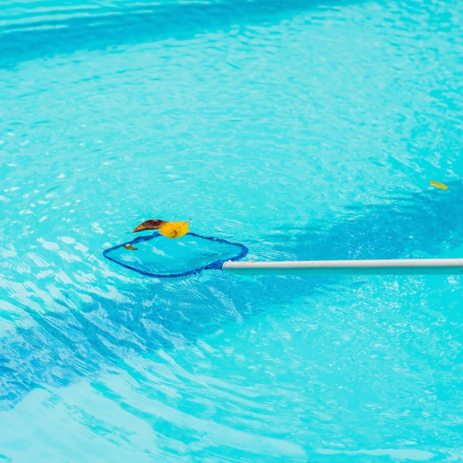 Red de Limpieza Desmontable pa - Pool Skimmer Net reseña y precio